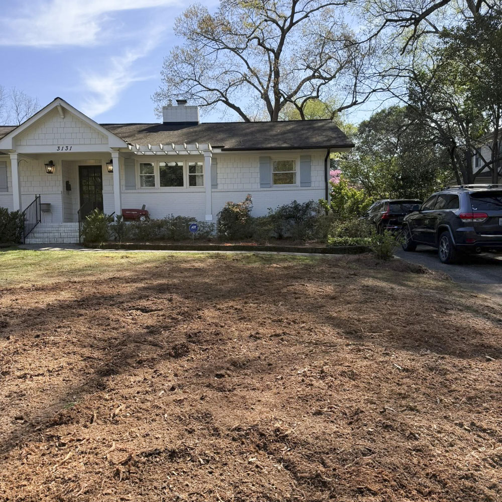 After stump grinding