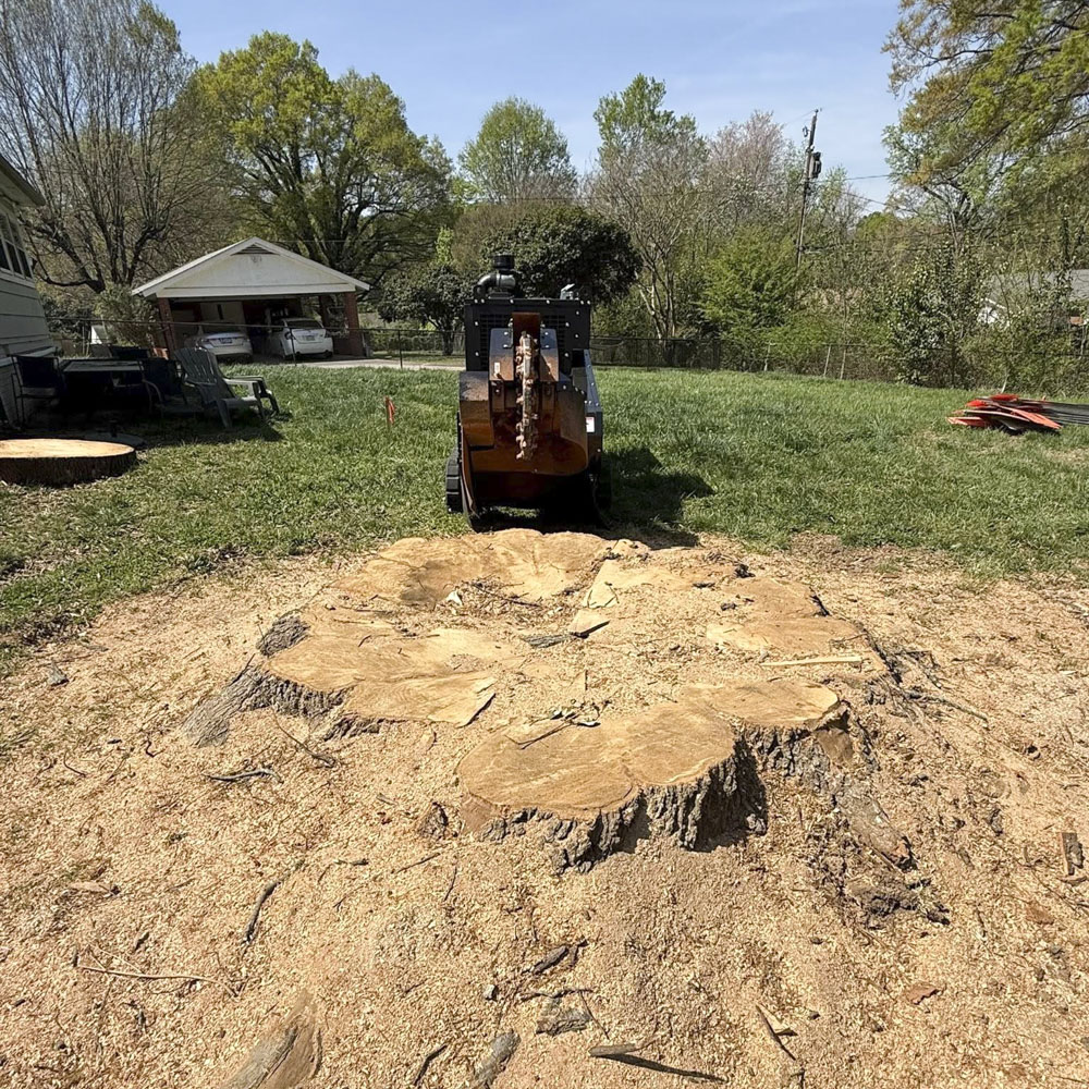 Stump removal near fairway