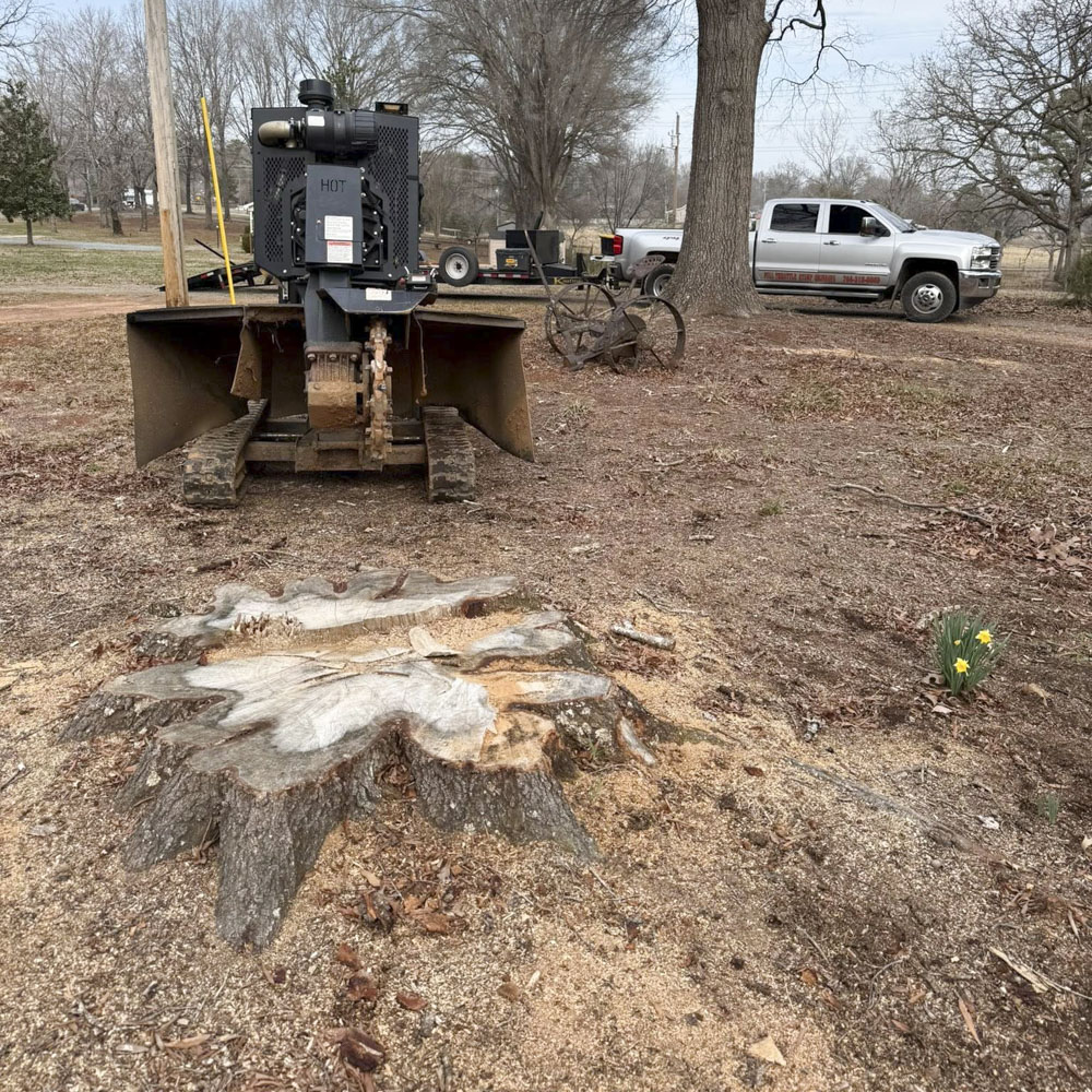 Clean stump removal result
