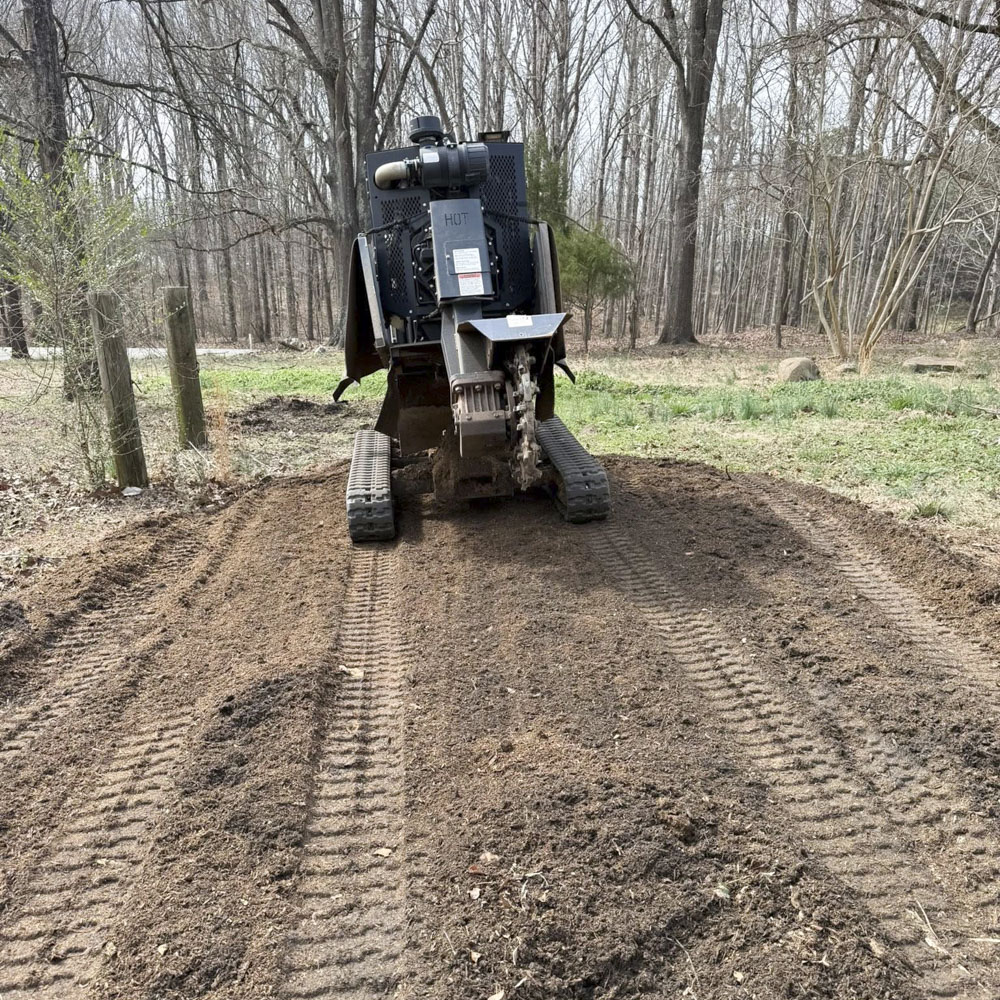 Stump grinding on course