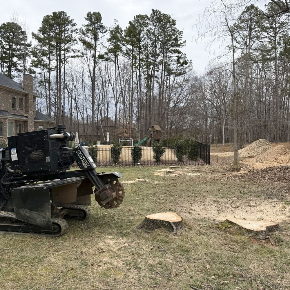 Stump removal on golf course