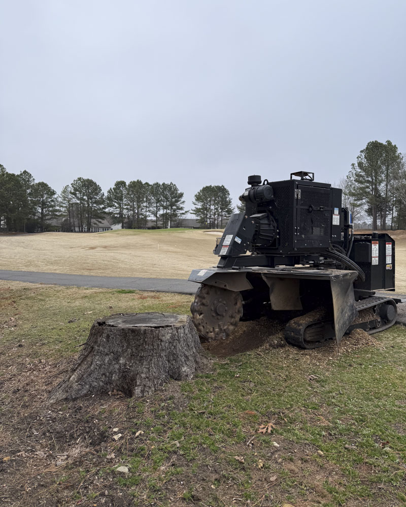 Golf course fairway clearing