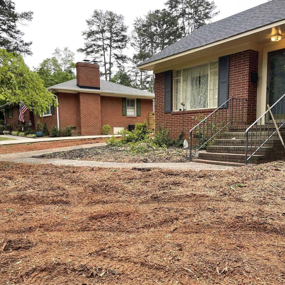Residential stump grinding in a backyard
